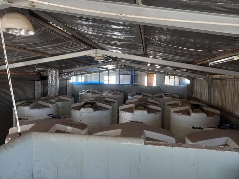 To Let commercial Property for Rent in Perseverance Industrial Eastern Cape